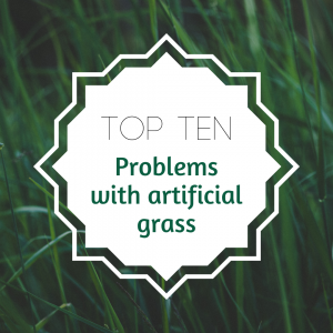 Read more about the article Problems with artificial grass