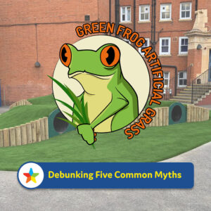 Read more about the article Artificial Grass: Debunking Five Common Myths